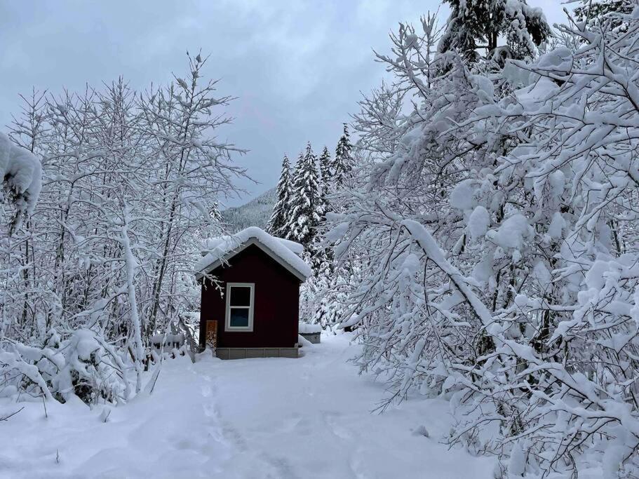 Cozy Tiny Home Steps Away From Mt. Rainier Ashford Ngoại thất bức ảnh