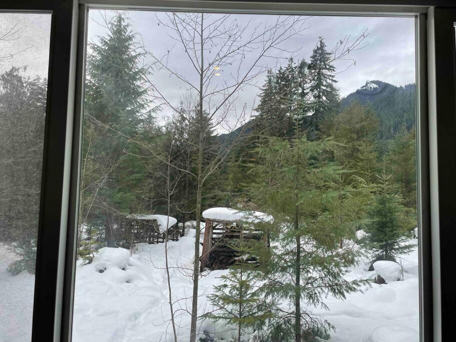 Cozy Tiny Home Steps Away From Mt. Rainier Ashford Ngoại thất bức ảnh